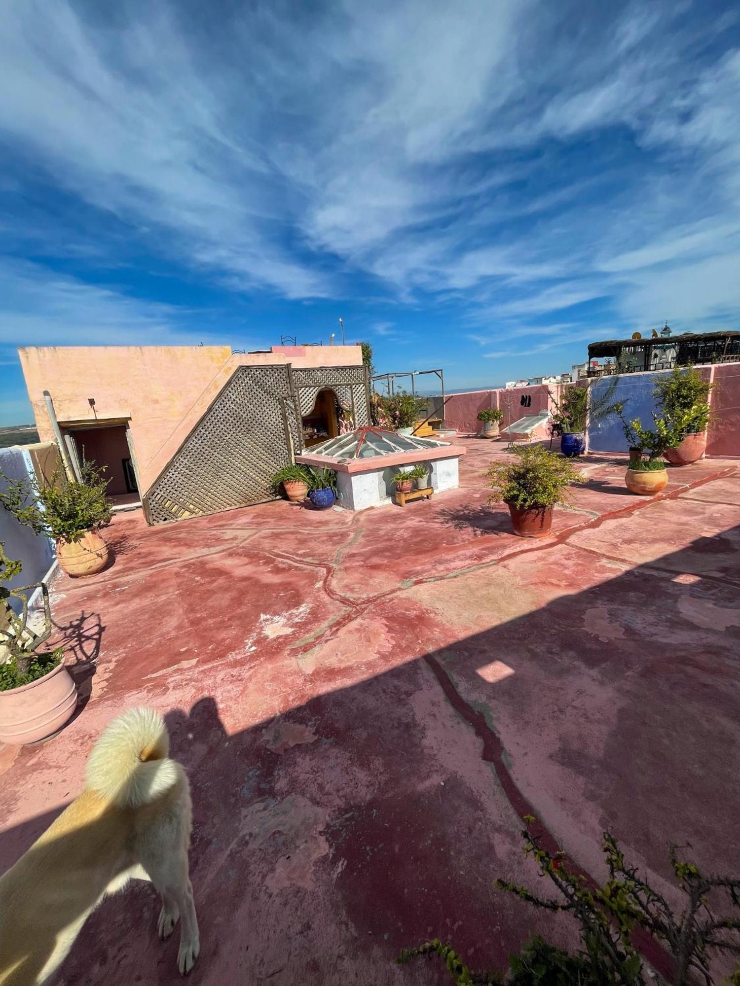 La Maison Haute Larache Morocco Bagian luar foto